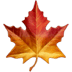 :maple_leaf: :maple_leaf: